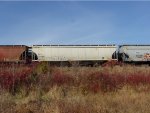 CITX 701088